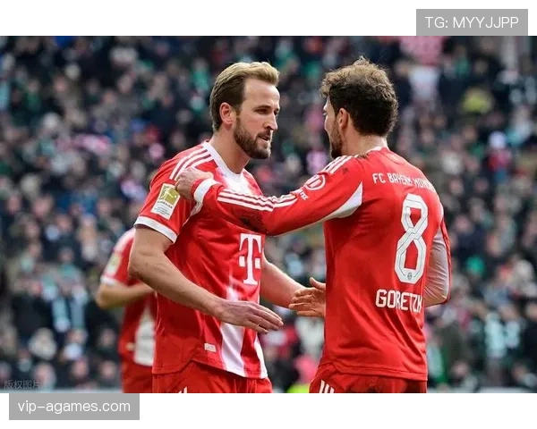 莱万vs哈里·凯恩 顶级中锋进攻效率与战术适配差距分析